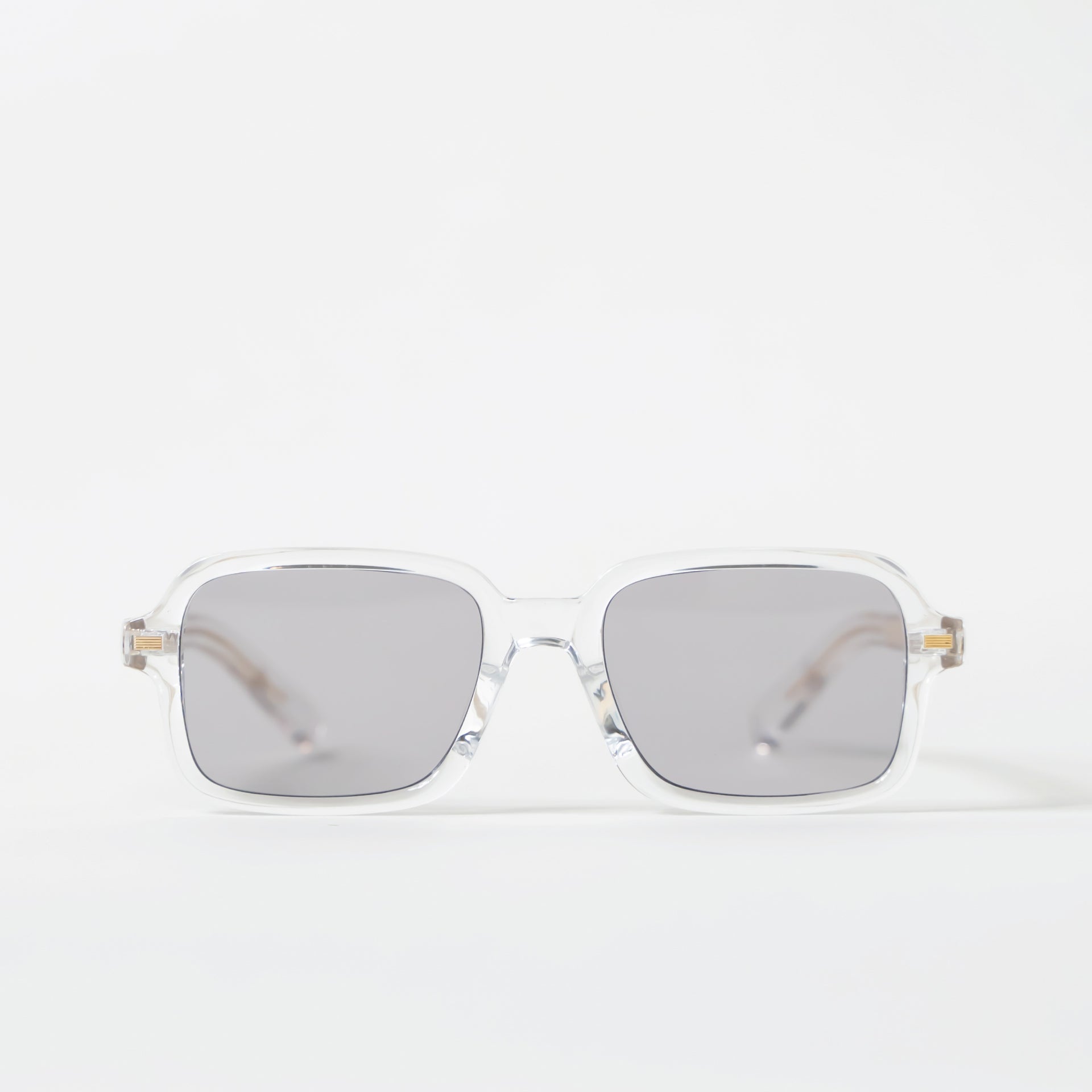 Large Rectangle Retro Smoke Tint Clear Frame Sunglasses with Gold Detail